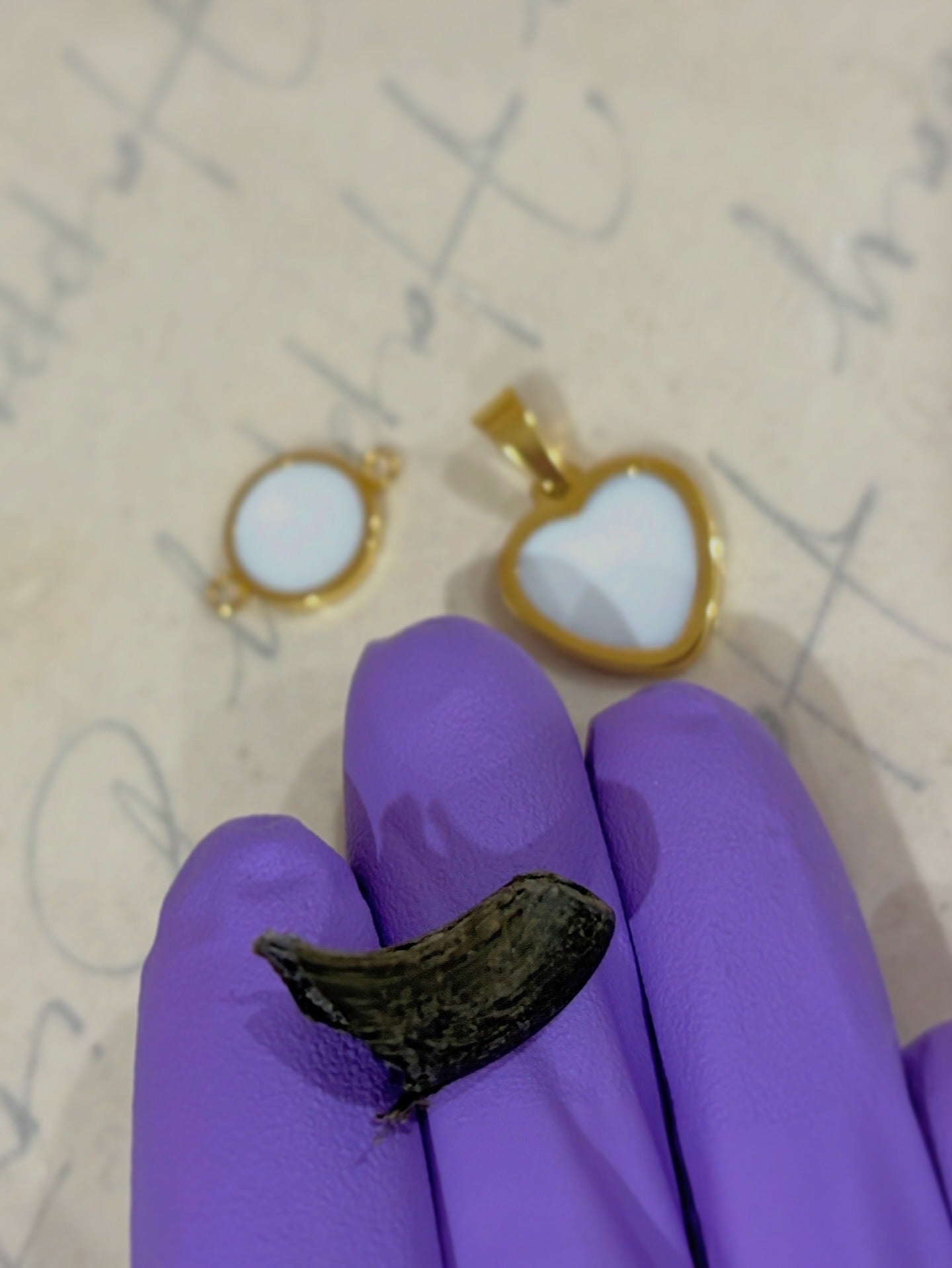 Herz Halskette mit Tierkralle oder Nabelschnur und Buchstabe